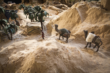 camellos por el desierto